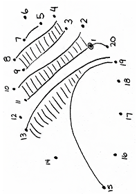 dot-to-dot easy - worksheet 18