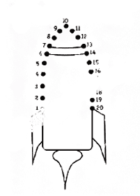 dot-to-dot easy - worksheet 82