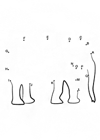 english alphabet - worksheet 87