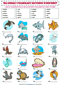english words - worksheet 271