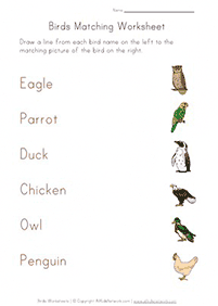 english words - worksheet 274