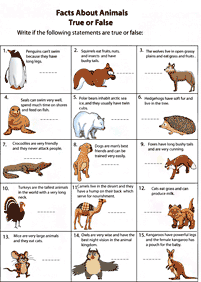 english words - worksheet 299