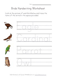 english words - worksheet 31