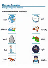 english words - worksheet 573