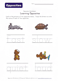 english words - worksheet 578