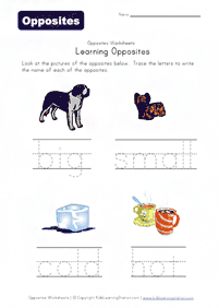 english words - worksheet 579