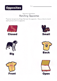 english words - worksheet 591