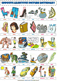 english words - worksheet 604