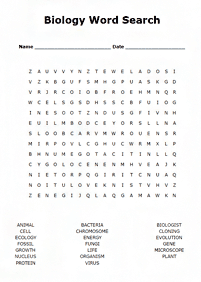 english words - worksheet 798