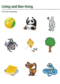 first grade worksheets - worksheet 12